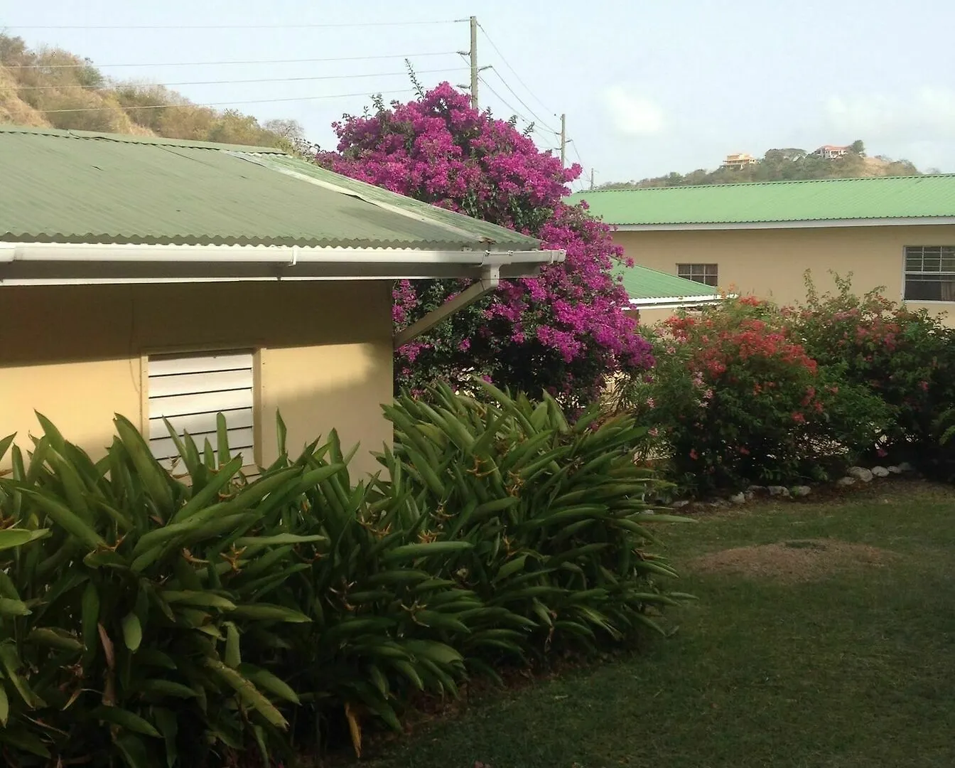 Wave Crest Holiday Apartments The Lime